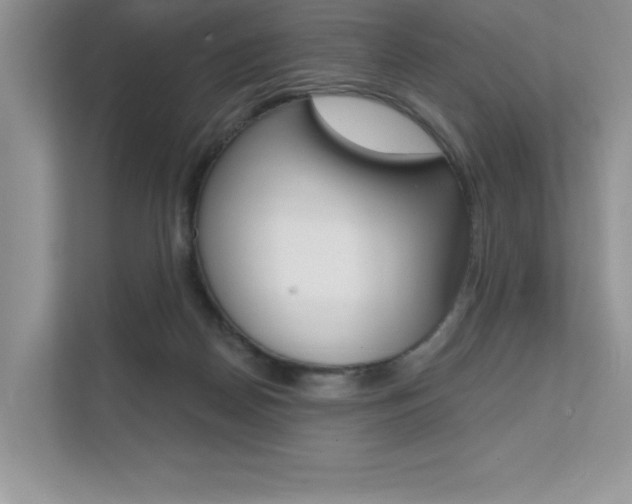 X0000111670170200907171451