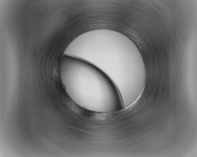 X0000111670190200907171452