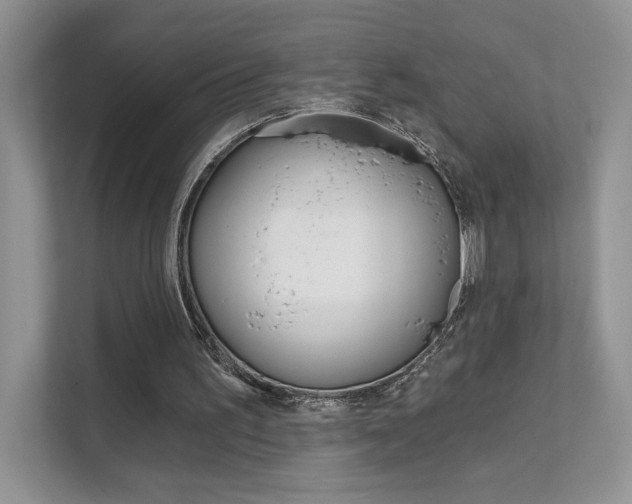 X0000111670195200907171451
