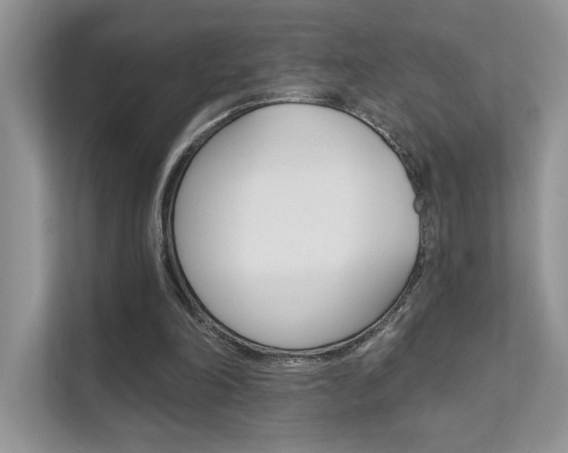 X0000111670198200907171451