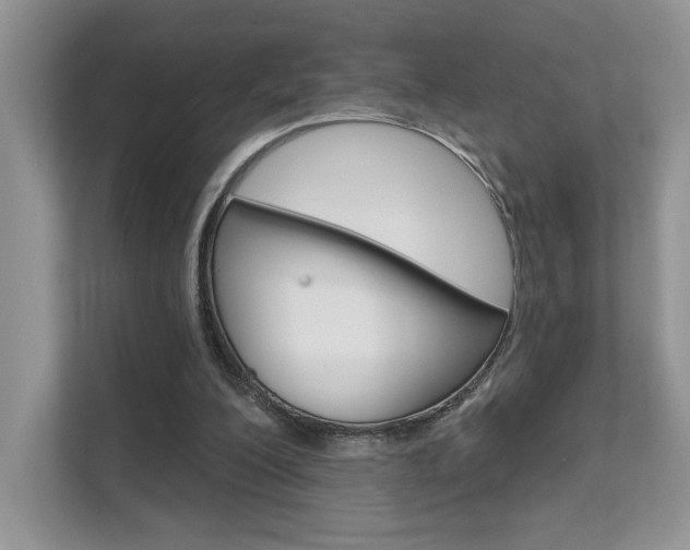 X0000111670200200907171451