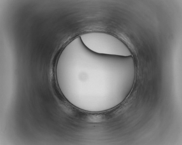 X0000111670202200907171451