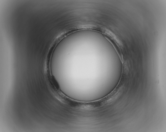 X0000111670203200907171451