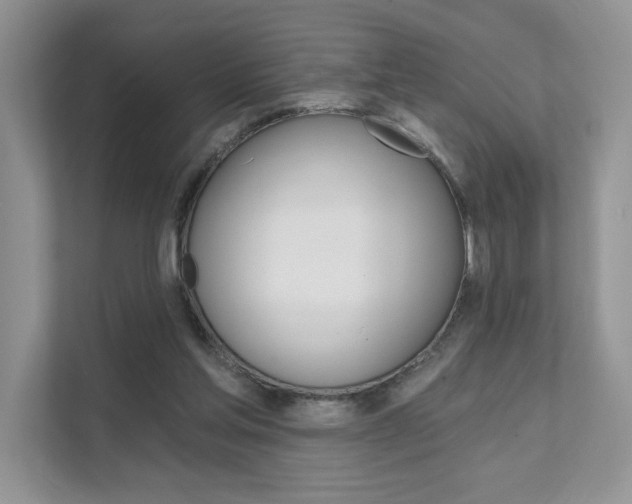 X0000111670205200907171451