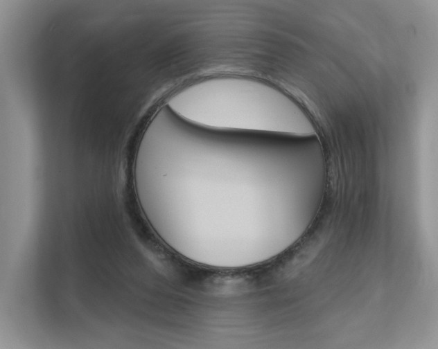 X0000111670208200907171451