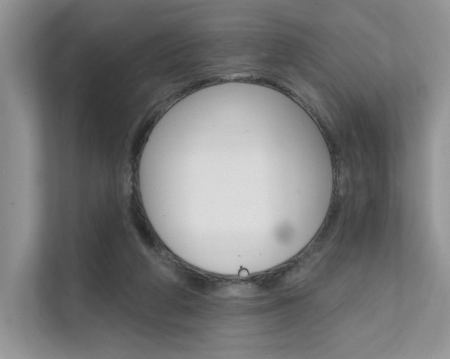 X0000111670210200907171451