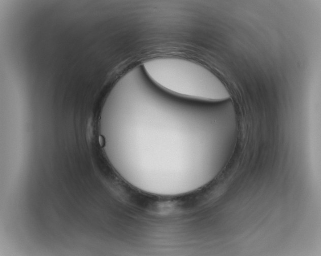 X0000111670216200907171451