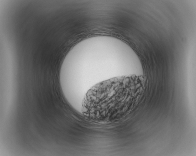 X0000111670223200907171451