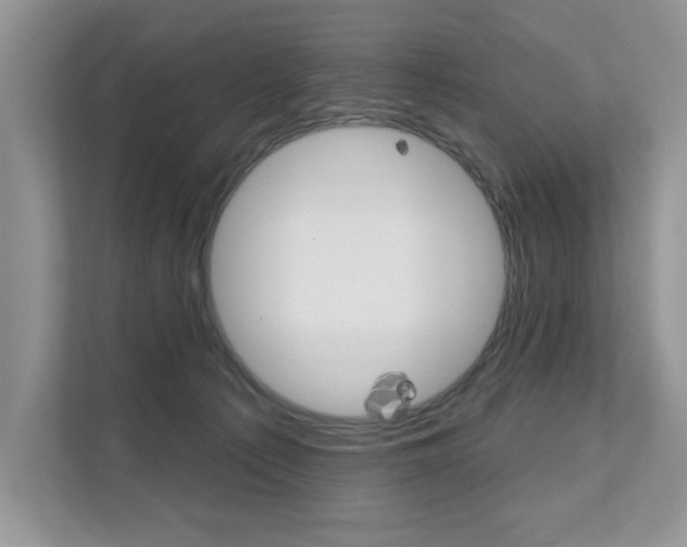 X0000111670225200907171451