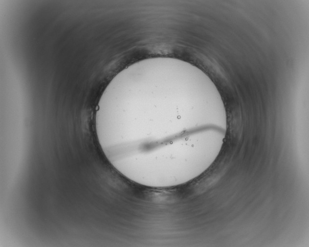 X0000111670229200907171451