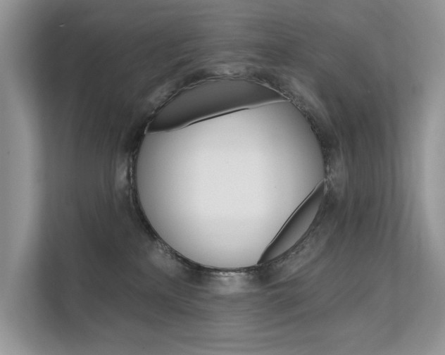 X0000111670233200907171450