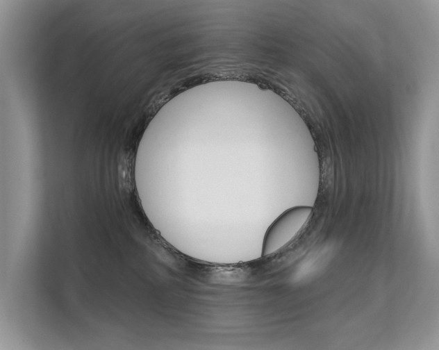 X0000111670234200907171450