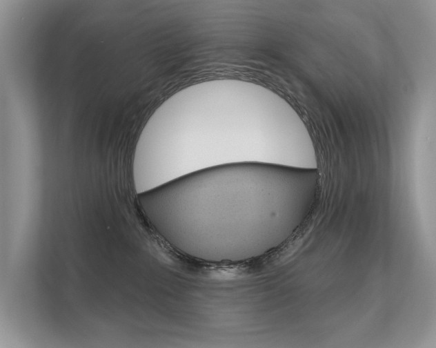 X0000111670235200907171450