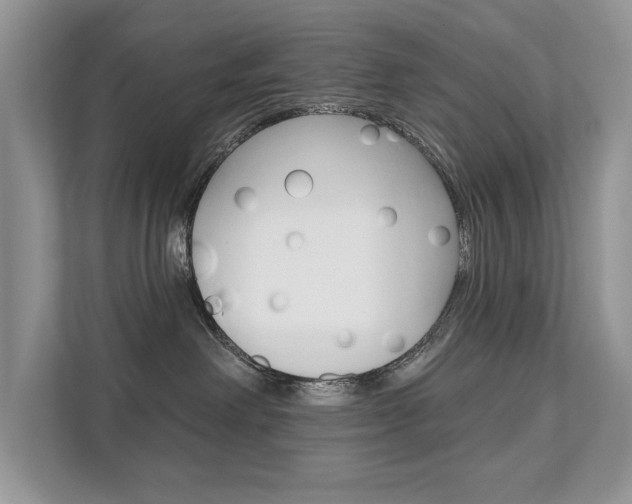 X0000111670238200907171450