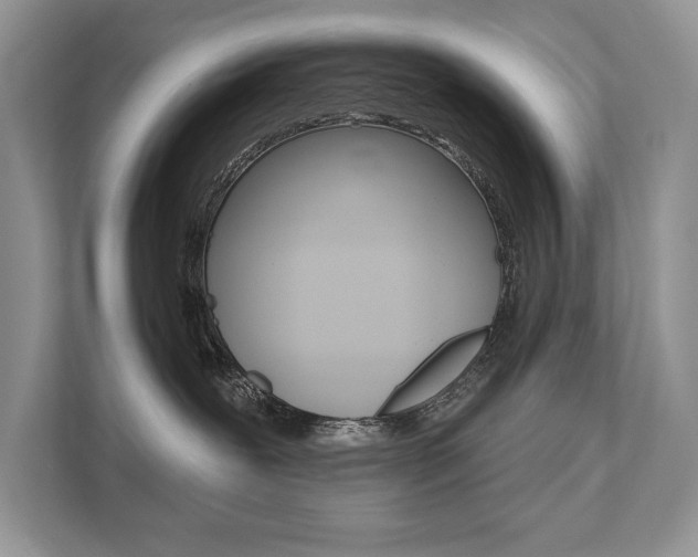 X0000111670239200907171450