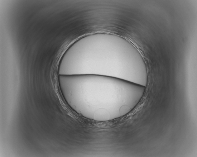 X0000111670241200907171450