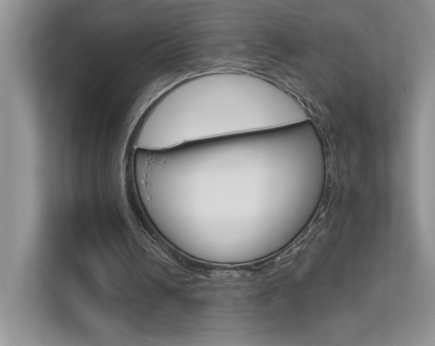 X0000111670242200907171450