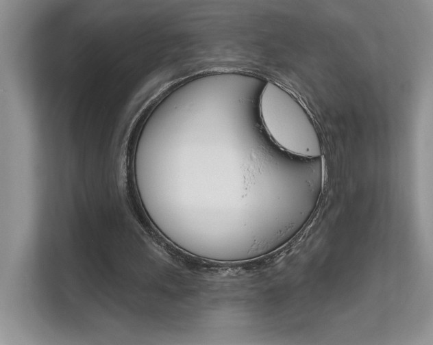 X0000111670243200907171450