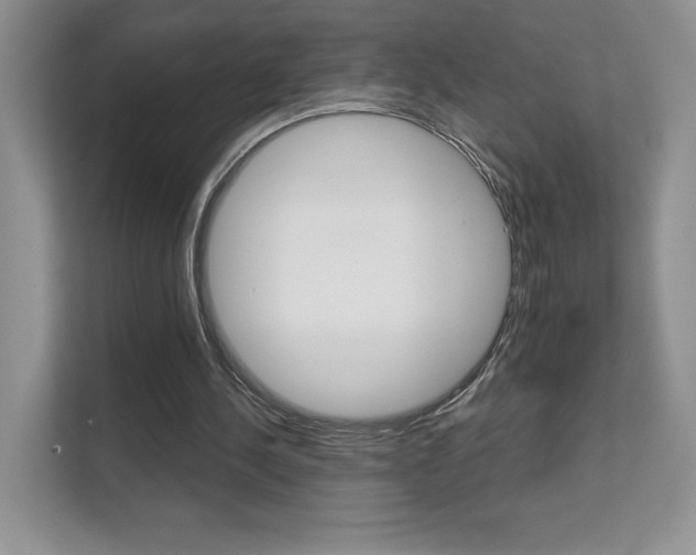 X0000111670244200907171450