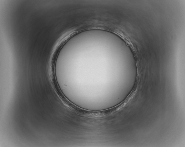 X0000111670245200907171450