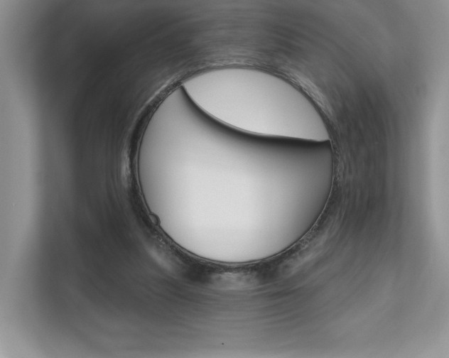 X0000111670251200907171450