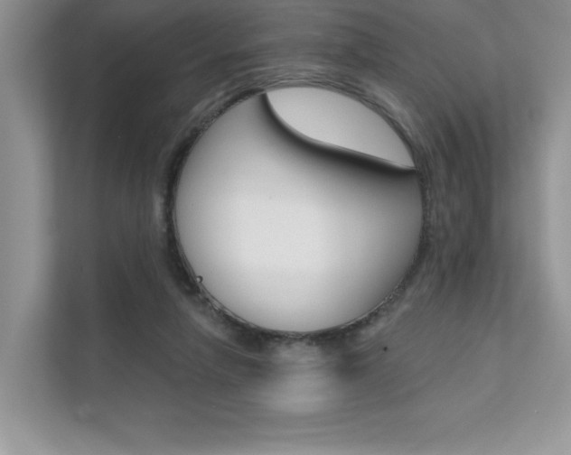 X0000111670258200907171450