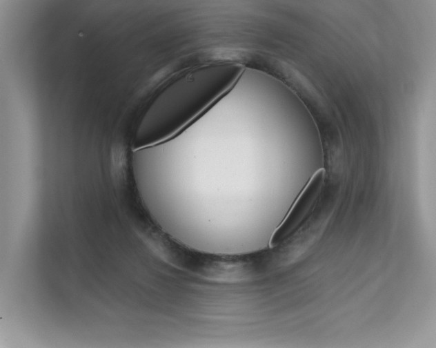 X0000111670260200907171450