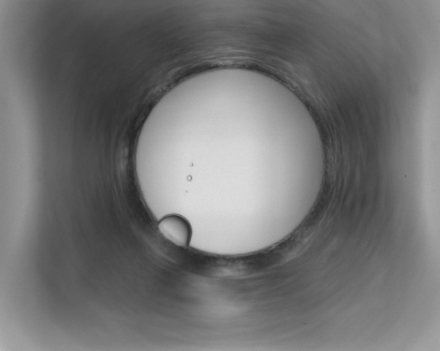 X0000111670263200907171450