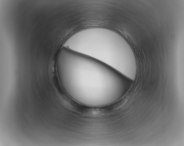 X0000111670264200907171450
