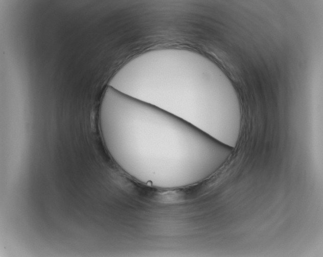 X0000111670269200907171450