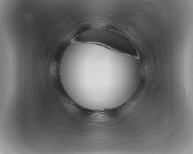 X0000111670280200907171450