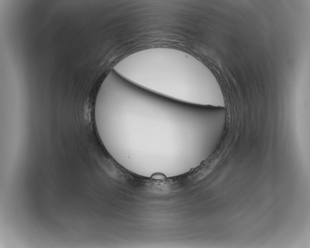 X0000111670282200907171450