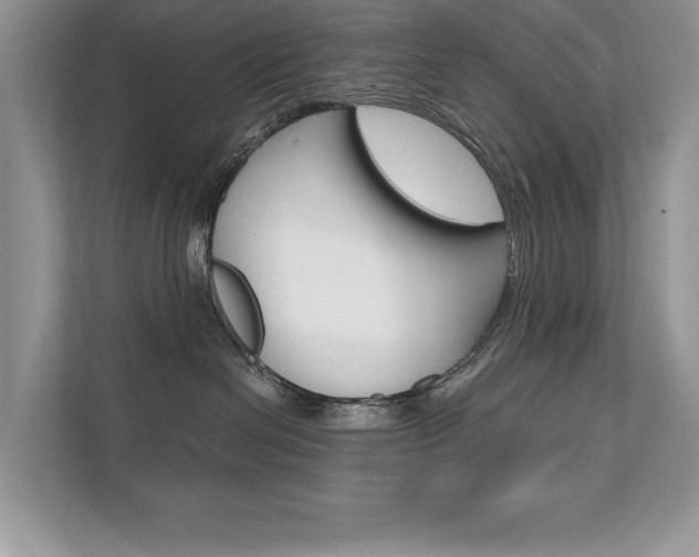 X0000111670286200907171450