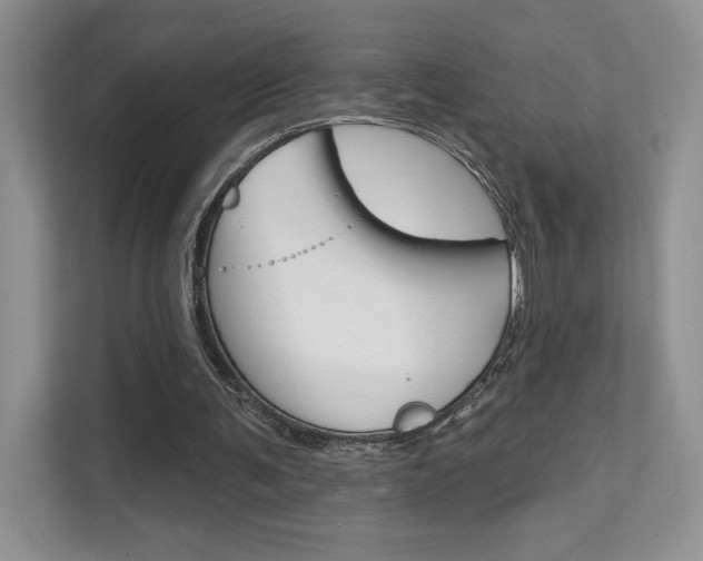 X0000111670291200907171450