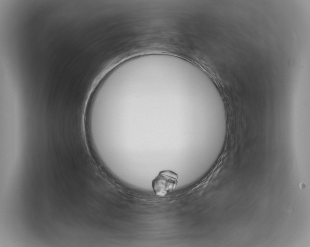 X0000111670292200907171450