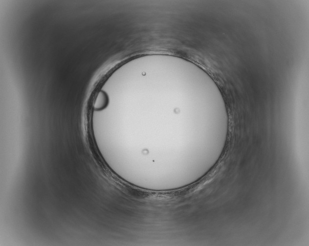 X0000111670294200907171450