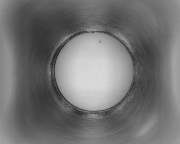 X0000111670298200907171450