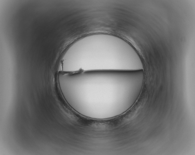 X0000111670299200907171450