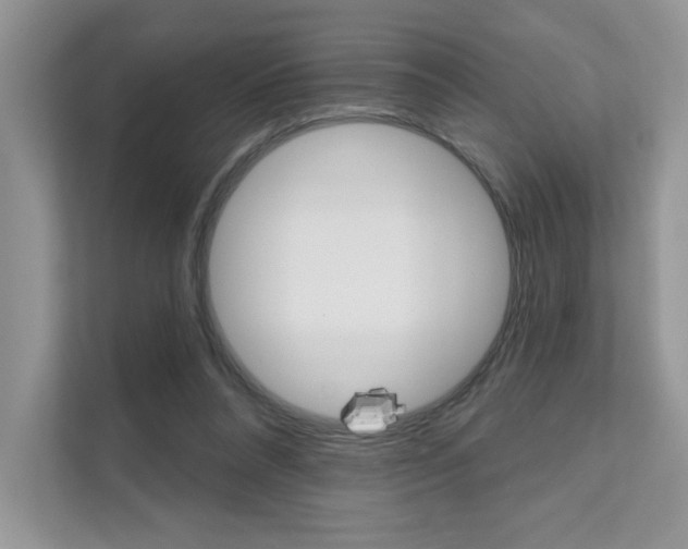 X0000111670304200907171450
