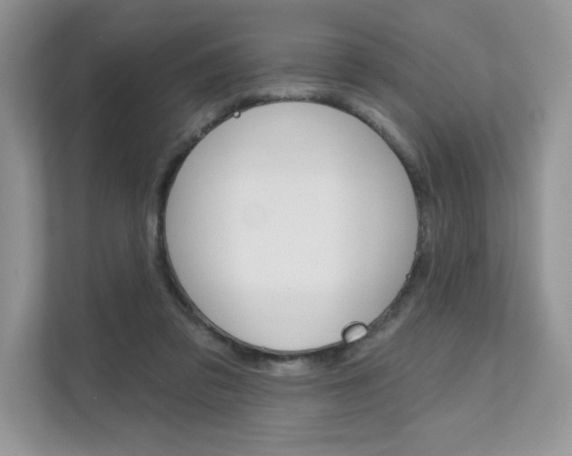 X0000111670309200907171449