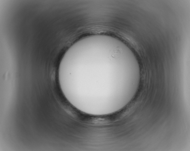 X0000111670315200907171449