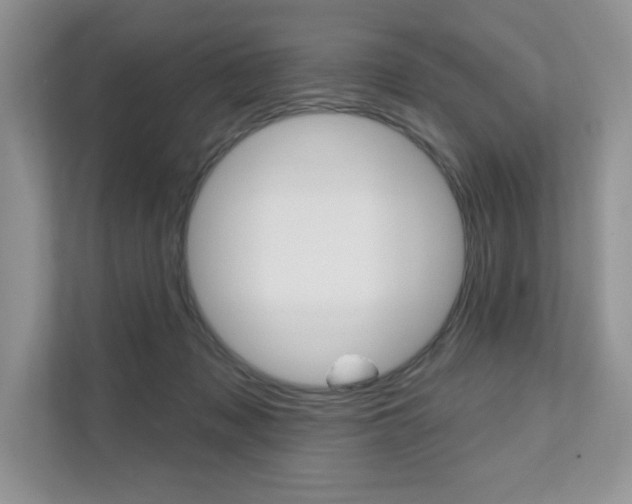 X0000111670317200907171449