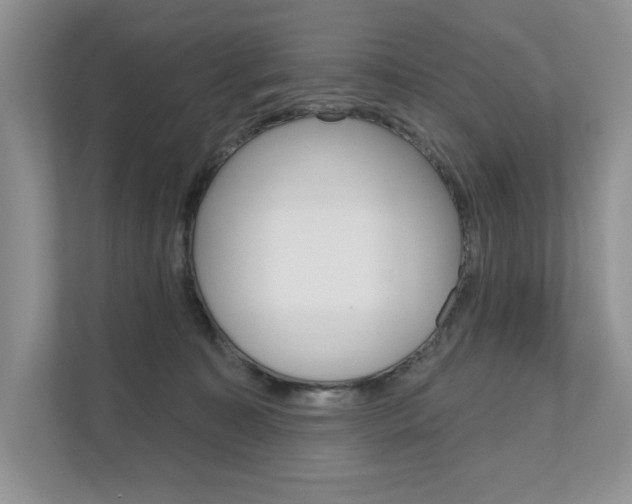 X0000111670323200907171449