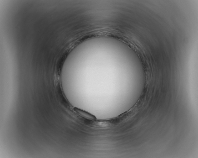 X0000111670324200907171449