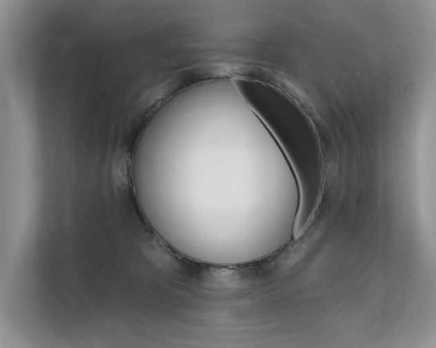 X0000111670325200907171449