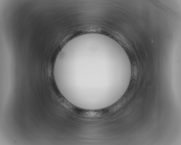 X0000111670326200907171449