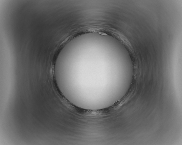 X0000111670329200907171449