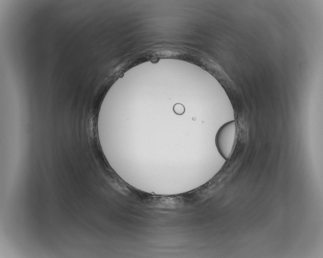 X0000111670330200907171449