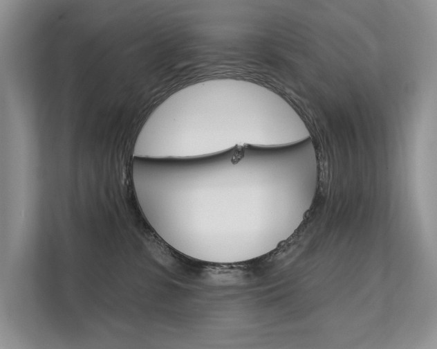 X0000111670331200907171449