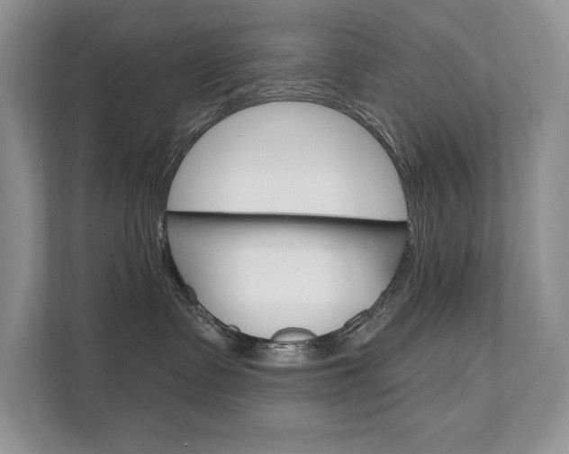 X0000111670335200907171449